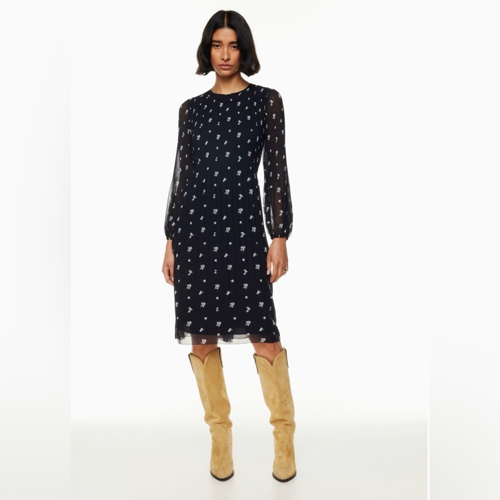 Wilfred Aritzia Daydreamer Dress